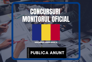 concursuri monitorul oficial