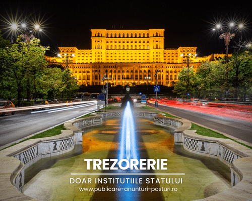 anunturi posturi gov trezorerie